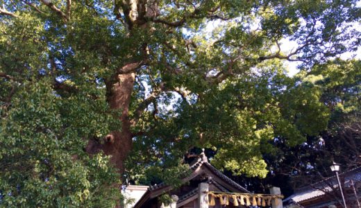 糸島・六所神社と日本最古の戸籍