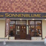 sonnenblume - 1