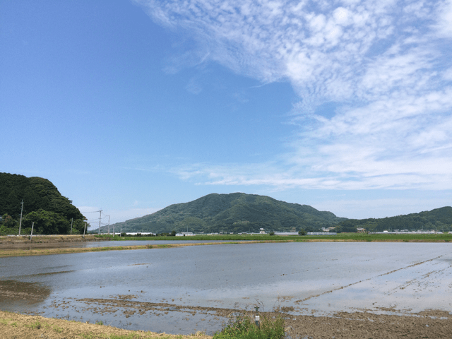 田んぼの向こうの日子山（ひこさん）